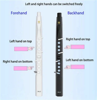 What built-in sounds do electric wind instruments usually have? What are the characteristics and application scenarios of these sounds?